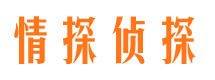 鸠江外遇调查取证